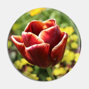 a Lady in Red and White Pin