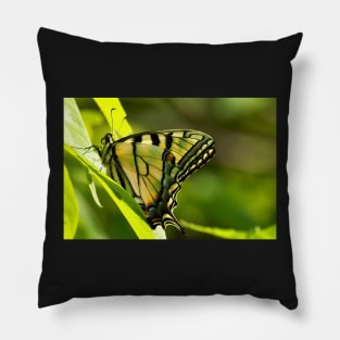 Eastern Tiger Pillow