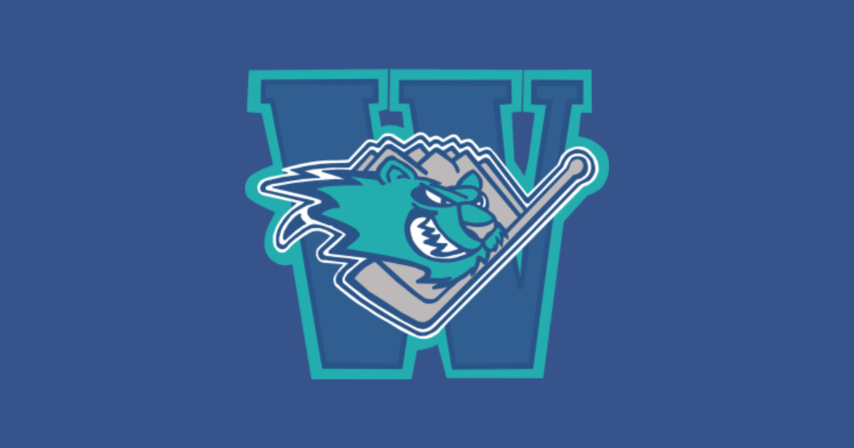 Worcester Hockey Icecats TShirt TeePublic