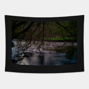 NATURE'S FLOW Tapestry