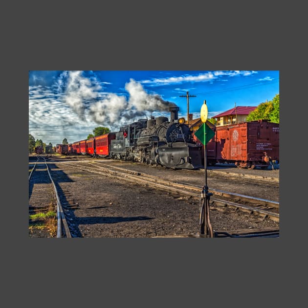 Cumbres and Toltec Narrow Gauge Railroad Chama New Mexico Yard by Gestalt Imagery