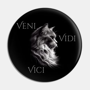 Veni - Vidi - Vici Pin