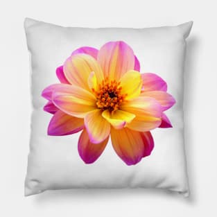 Dahlia Pillow