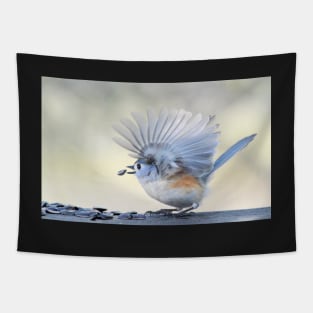 Feathered Fan Tapestry