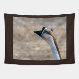 Chinese Goose Deep In Thought Tapestry