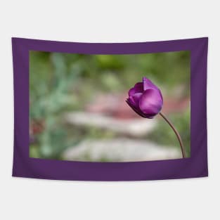 Not afraid to be alone, purple tulip flower altered photography Tapestry