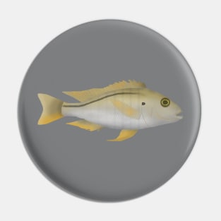 Buccochromis atritaeniatus Pin