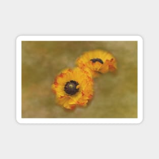 Yellow Ranunculus Digital Art Magnet