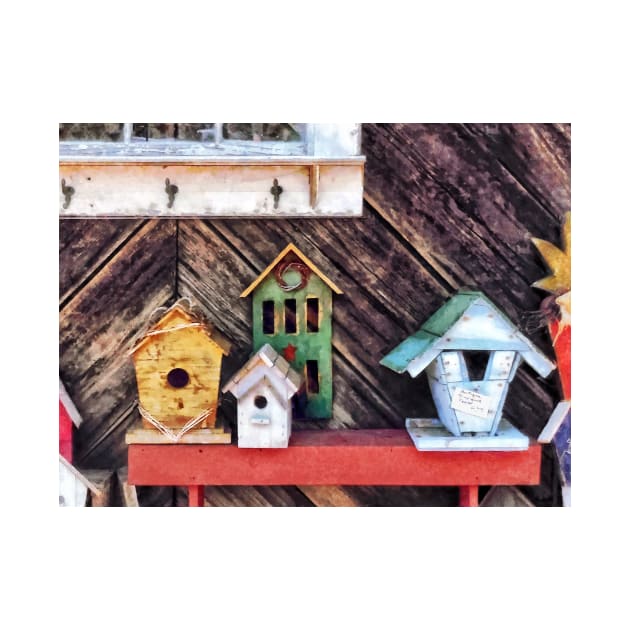 Birdhouses for Sale by SusanSavad