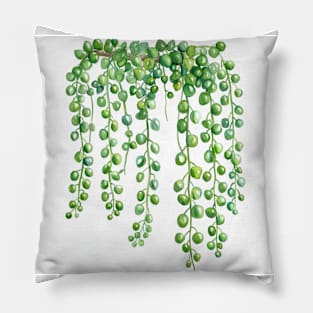 Water Color String of Pearls House Plant Pillow