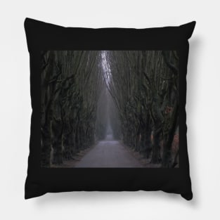 Gloomy path Pillow