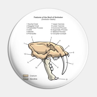 Smilodon Skull Diagram Pin