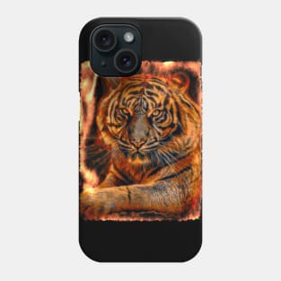 Fire tiger color power Phone Case