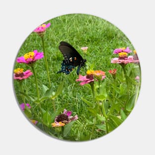 Butterfly on zinnia flower Pin