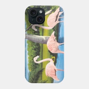 Florida Flamingos postcard Phone Case