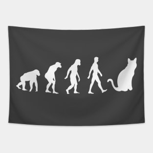 HUMAN CAT EVOLUTION Tapestry