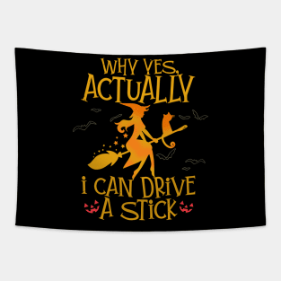 Why Yes Actually I Can Drive A Stick Tapestry