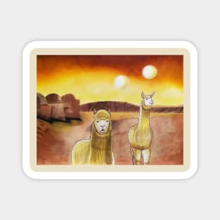 Llamas on Tatooine Magnet