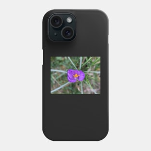 Purple and Orange Flower 1 Phone Case