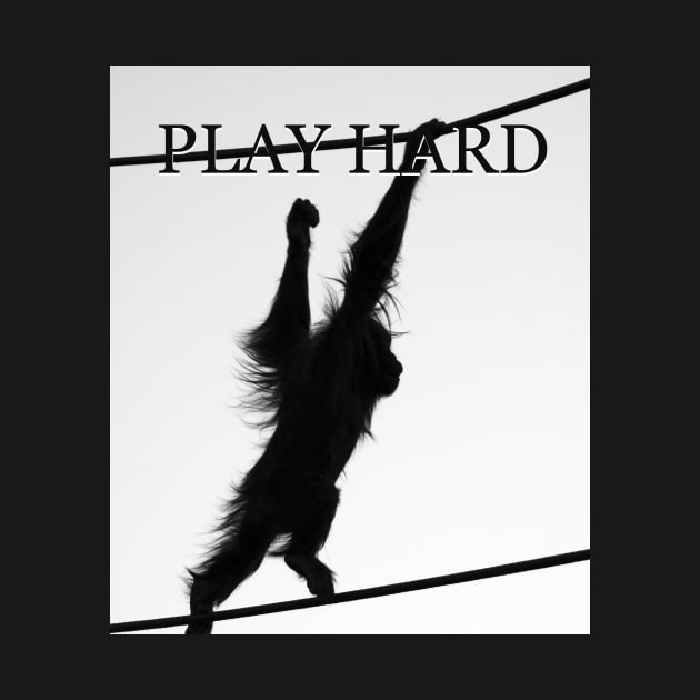 Play Hard by dltphoto