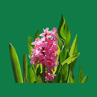 Hyacinths - One Pink Hyacinth T-Shirt