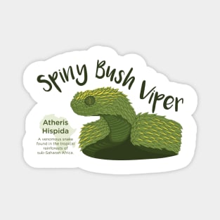 Spiny Bush Viper Magnet