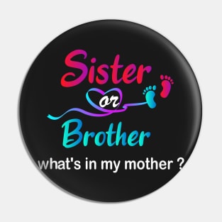 Sister Or Brother What's In My Mother Pin