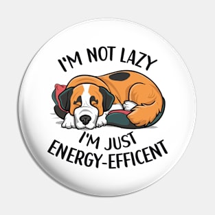 I'm not lazy I'm energy efficent Pin