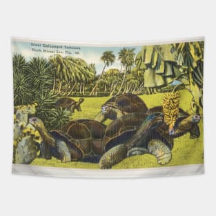 Giant Galapagos tortoises, North Miami Zoo postcard Tapestry