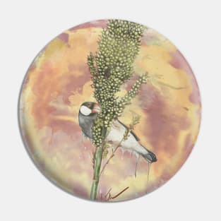 Java Sparrow bird Pin