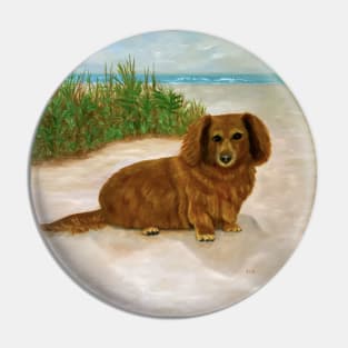 Long Haired Daschound Pin