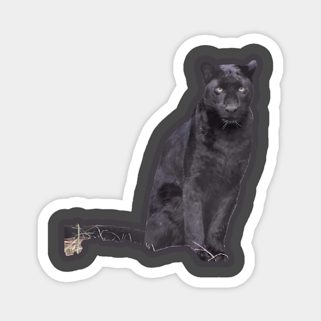 Black Leopard Magnet by Sharonzoolady