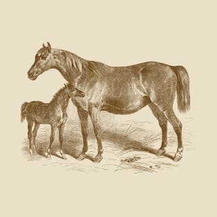 Arabian Horse Mare and Foal Vintage Illustration T-Shirt