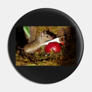 Wild  cute garden mouse sawing a apple Pin