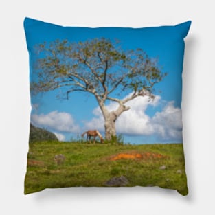 Single tree in Vinales Valley, Cuba Pillow