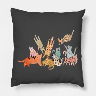 Cat lovers Pillow