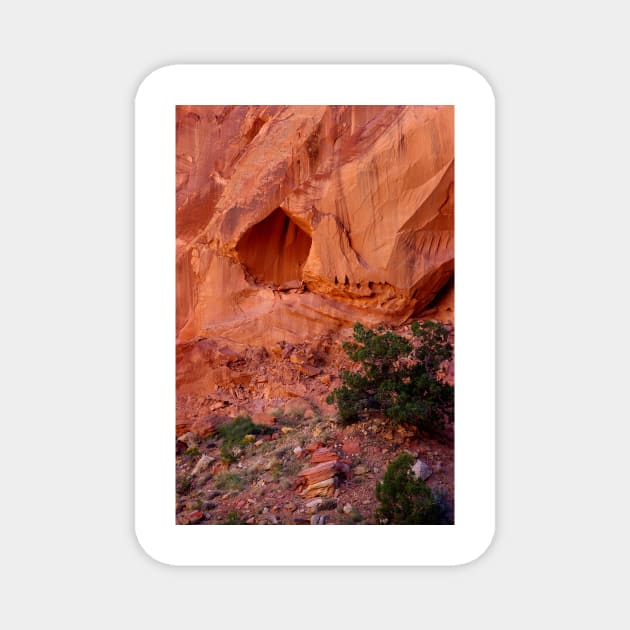 Capitol Reef National Park, Utah Magnet by VKPelham