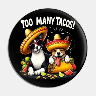 funny cat dog taco Time Cinco de mayo Pin