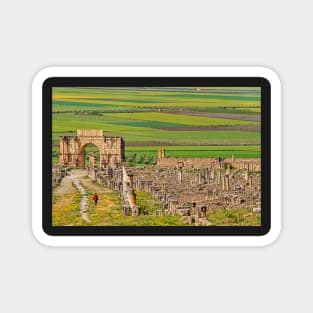 Triumphal Arch & Town, Volubilis Magnet