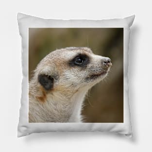 Meerkat 028 Pillow