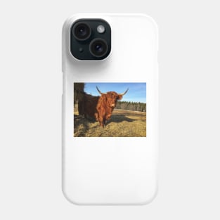 Scottish Highland Cattle Cow 2331 Phone Case