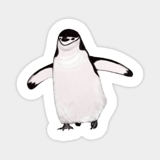 Chinstrap Penguin Magnet