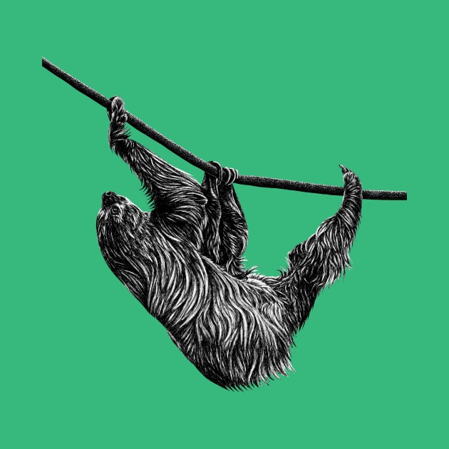 Linnaeus's two-toed sloth by lorendowding