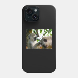 Vervet Monkeys, Kruger National Park, South Africa Phone Case