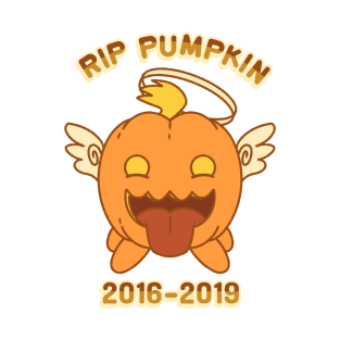 RIP Pumpkin (2016-2019) T-Shirt