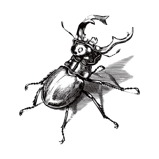 Dramabite Vintage stag beetle illustration by dramabite