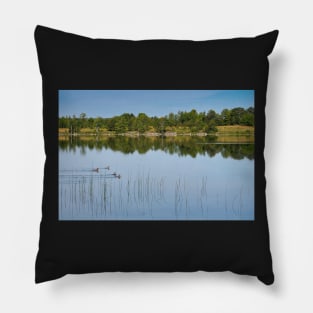 Ducks on a Lake Pillow