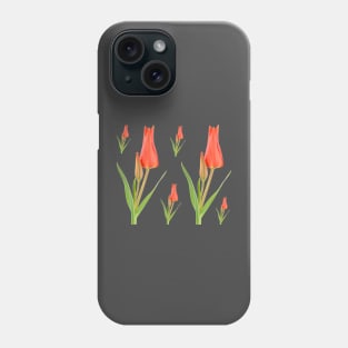 Tulipa praestans  'Van Tubergen's Variety'  Miscellaneous tulip Phone Case