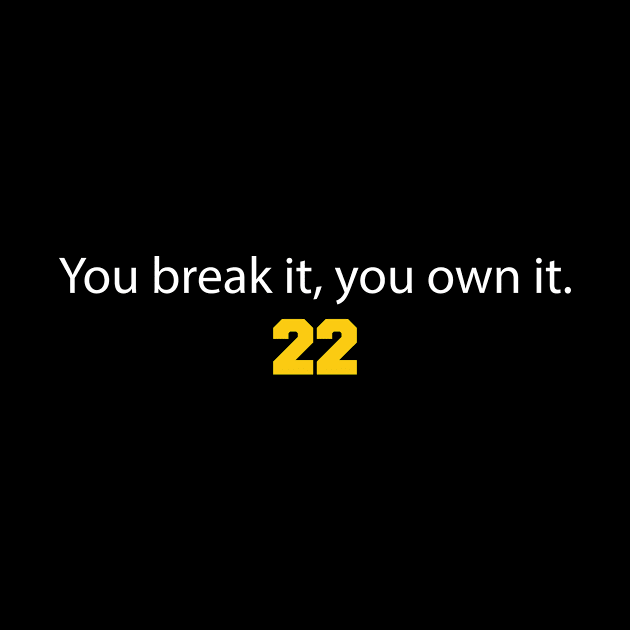 You break it you own it by style flourish