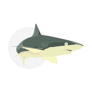 Animal Vignette: Shark T-Shirt